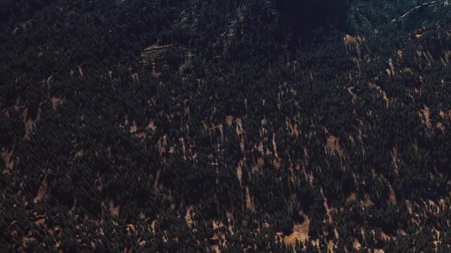 A wide view of a forested area in the mountains. The trees cover the ground in patterns. Sunlight highlights some areas, creating shadows and light spots.
