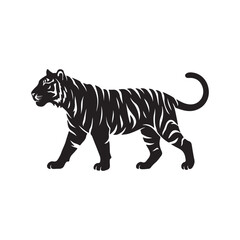 Obraz premium Detailed black and white line of a tiger walking, side profile view, powerful big cat isolated on white