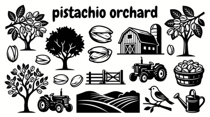 ripe pistachios growing on healthy orchard trees with fertile farmland harvest season dry climate agricultural landscape and sustainable cultivation environment © Ethan