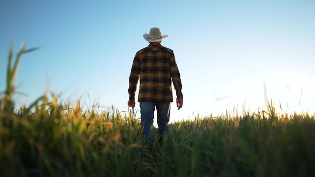 Farmer field with tablet. Agriculture work in progress. farmer utilizing technology. farming methods. Farmer work enhancing crop yield. Agriculture work with digital tools. Field inspection by farmer.