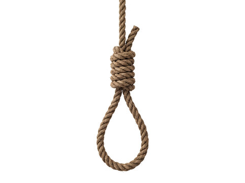 Close-up of a Noose Knot on a Rope, Isolated PNG Cutout
