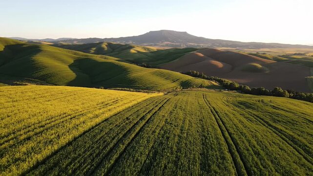 Steptoe Butte State Park Aerial View - This aerial shot captures the rolling hills and farmland in Steptoe Butte State Park, Palouse region, Washington State.