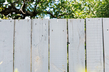 Fototapeta premium Wooden fence stands in garden surrounded by green plants and trees on a sunny day