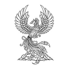 Fototapeta premium Intricate line art of a phoenix with majestic wings