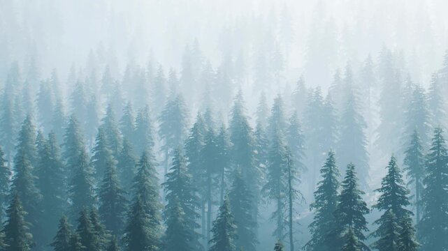 Tall trees are visible in a dense forest. Mist surrounds the trees, creating a foggy atmosphere. The setting is early morning, with soft light filtering through the fog.