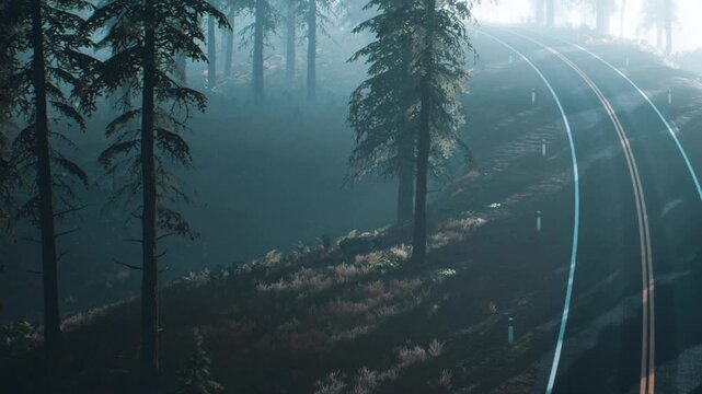 A winding road curves through a dense forest with tall trees. The light from a low sun creates long shadows on the ground. The atmosphere shows a transition from day to night.