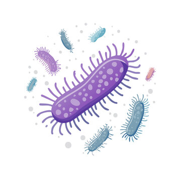 Colorful Bacteria Vector Illustration