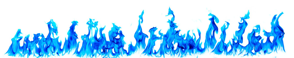 Fototapeta premium Realistic blue fire flames isolated on white background. High resolution abstract flame banner for energy, heat, futuristic design, gas fire, fantasy effects, overlay, transparent graphic resource.