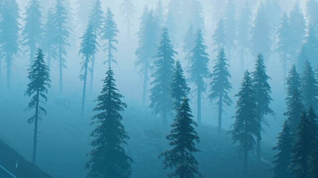 A forest filled with tall trees stands in dense fog during the morning. The visibility is low, and the atmosphere feels cool and damp. The scene captures natures quiet beauty.