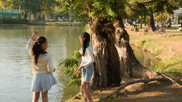 Two Young Thai Girls Feeding Fish by a Lake in Bangkok Park
