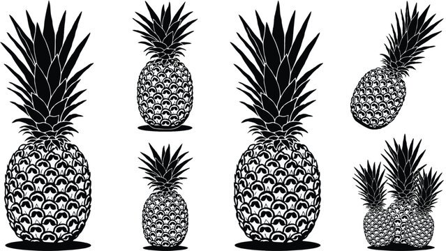 black and white illustration of multiple whole pineapples on white background