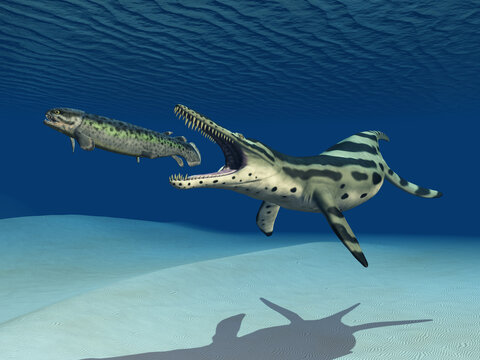 Kronosaurus attackiert Rhizodus