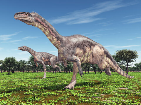 Dinosaurier Plateosaurus in einer urzeitlichen Waldlandschaft