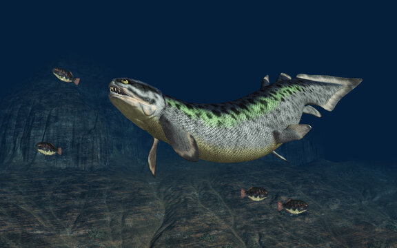 Pr&auml;historischer Fisch Rhizodus auf der Jagd