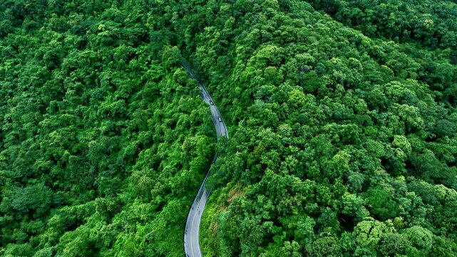 Scenic aerial forest road illustrating harmony between infrastructure and nature, suitable for sustainability communication, Green Finance, ESG investment, Climate Risk management, Renewable Energy Tr