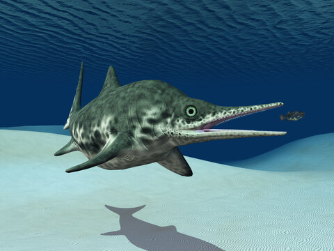 Ichthyosaurier Shonisaurus
