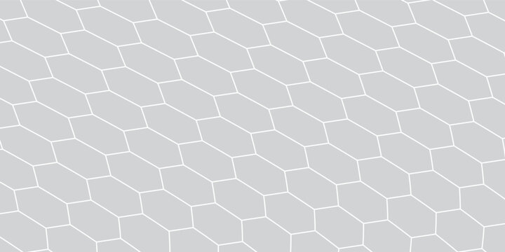 Fishing or soccer net. Repeated hexagon pattern. Black wired mesh texture isolated on white background. Metallic or fabric fence, cage or lattice structure. Vector graphic Illustration.