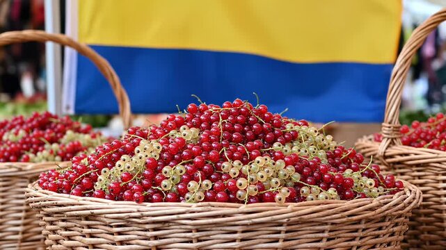 Wicker baskets of red currants at market stall. Market theme echoed via farm stand vibe and street stall context, supporting food retail and social concepts of local economy
