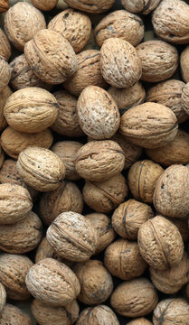 Detailed view on round brown walnuts in big pile on table close up