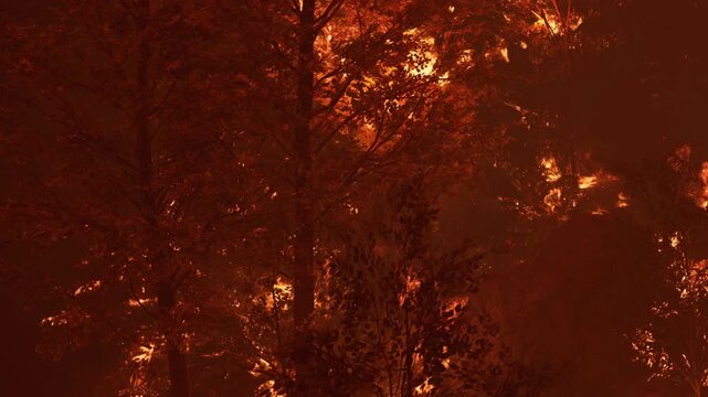 Flames consume trees in a forest as a wildfire spreads rapidly in a rural area at night. Smoke fills the air, creating an intense scene of destruction and danger.