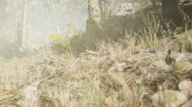 Light mist covers the ground in a forest. Tall trees rise on either side of a narrow path. Rocks and tall grass are visible near the trail. This scene shows a quiet moment in nature.