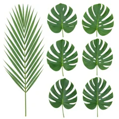 A collection of vibrant green tropical palm and monstera leaves isolated on white background © Visol Studio