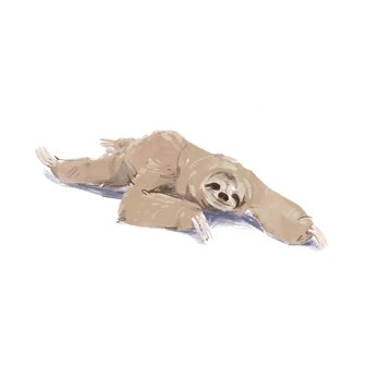 A beautifully rendered graphite illustration of a sloth in mid-motion This artwork captures the graceful yet deliberate movement of the animal as it navigates its habitat. The artist's use of varying 