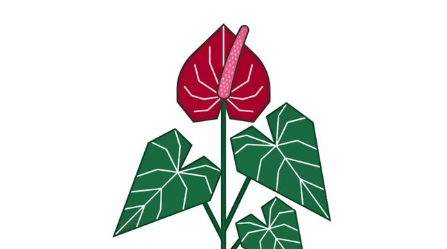 Flat Vector Illustration of a Single Stylized Anthurium Flower with Bold Geometric Leaves, Red Spathe and Pink Spadix, Clean White Background, Graphic Resource
