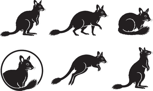 Brush Tailed Bettong Silhouette Icon