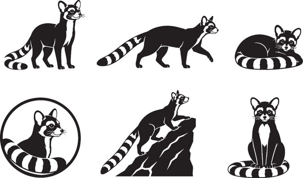 Ringtail Silhouette Icon Set Collection Desert Mammal Black Vector Wildlife Symbols