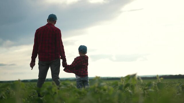 Father and child in soybean field. Family bonding with nature. Farmer and child exploring soybean crops. Scenic family moment in soybean field. Family soybean nature connection. Happy farm worker life