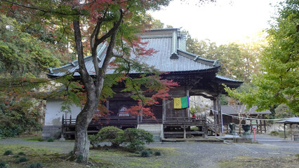 Fototapeta premium 日本：岩殿観音正法寺／紅葉するモミジと観音堂／埼玉県東松山市