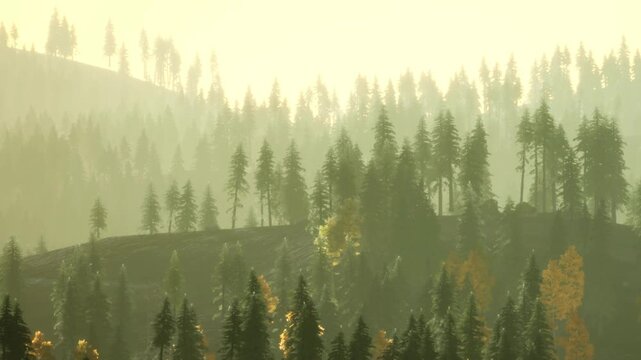 Sunlight streams through the trees in a forest as morning begins. The trees stand tall on the hills, creating layers of green and yellow. This scene captures the start of a new day.