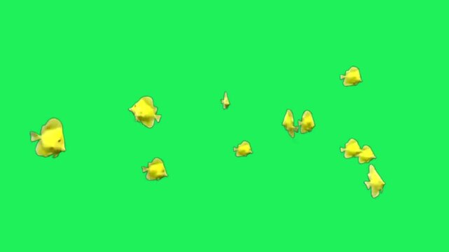 Animation yellow clownfish on black background.	