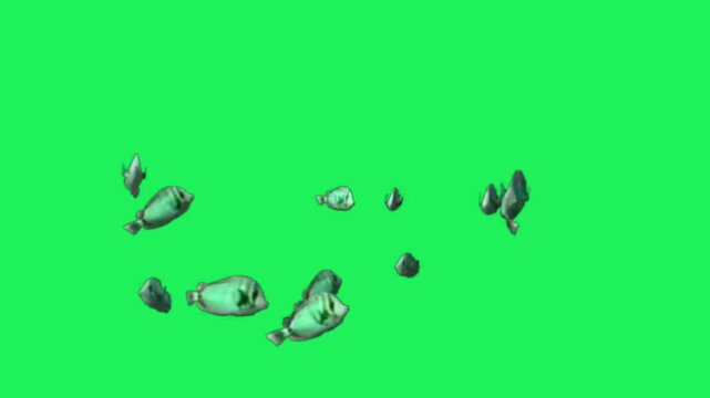 Animation blue clownfish on black background.	

