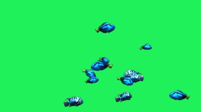 Animation blue clownfish on black background.	
