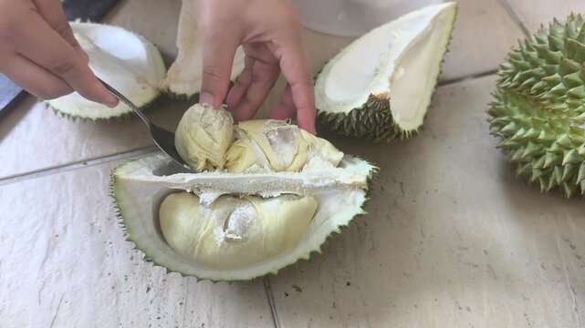 A person carefully cracks open a thorny durian using a traditional machete. The thick husk splits apart seamlessly. Inside, the fresh, rich, creamy yellow flesh is beautifully revealed.