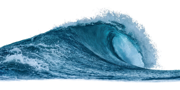 Turquoise barrel ocean wave cresting against a white background with turquoise transparent splashing tropical vacation environment seascape