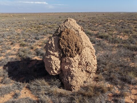View of a large termite mound standing in the arid landscape of the outback near Minilya-Exmouth Road, Minilya, Western Australia, Australia.