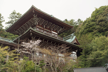 Obraz premium Traditional multi-tiered temple roof surrounded by forest and cherry blossoms 