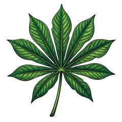 Fototapeta premium Cannabis leaf close up with vibrant green leaflets.