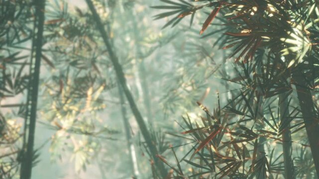 Sunlight shines through bamboo leaves in a forest. The scene is filled with green plants and light mist. The setting is tranquil during the early hours of the morning.