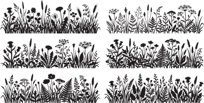 Wildflower and Grass Silhouettes, a collection of diverse meadow plant borders, botanical vector elements for natural designs