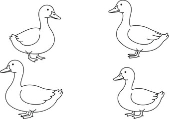 Duck coloring page vector, farm bird outline drawing, domestic duck illustration for kids, black and white duck sketch, printable artwork © Moksedul  Creative