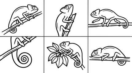 Obraz premium Black and white line art chameleon climbing and resting on branches