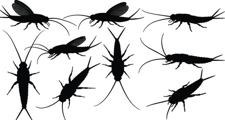 Insect silhouette vector set, bug crawling flying outline, entomology illustration, pest insect clipart, creepy crawlers graphic, black insect shapes collection © Moksedul  Creative