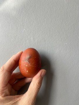 Close-up photograph of a fresh brown chicken egg with a feather attached to the shell, held in a hand against a neutral grey background. Natural farm-to-table concept representing fresh produce, 