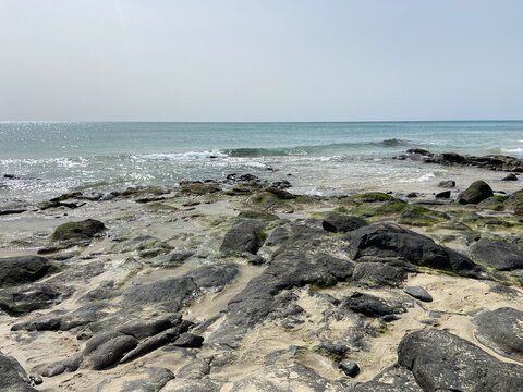 Rocky volcanic shoreline on the coast of Fuerteventura in the Canary Islands, Spain. Rugged black lava rocks meet the clear Atlantic Ocean beneath a bright blue sky, showcasing the island's dramatic 