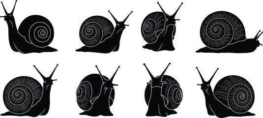 Snail silhouette vector, snail clipart set, crawling snail illustration, garden snail outline, mollusk shell graphic, black and white snail design © Moksedul  Creative
