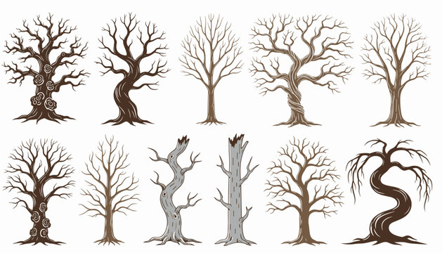 Gnarly Old Dead Tree Trunk and Twisted Branch Hand Drawn Sketch Set for Spooky Forest Landscape Backdrop Vector Concepts